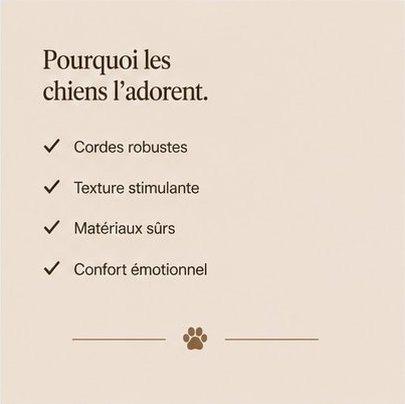 Max – Jouet pour chien indestructible