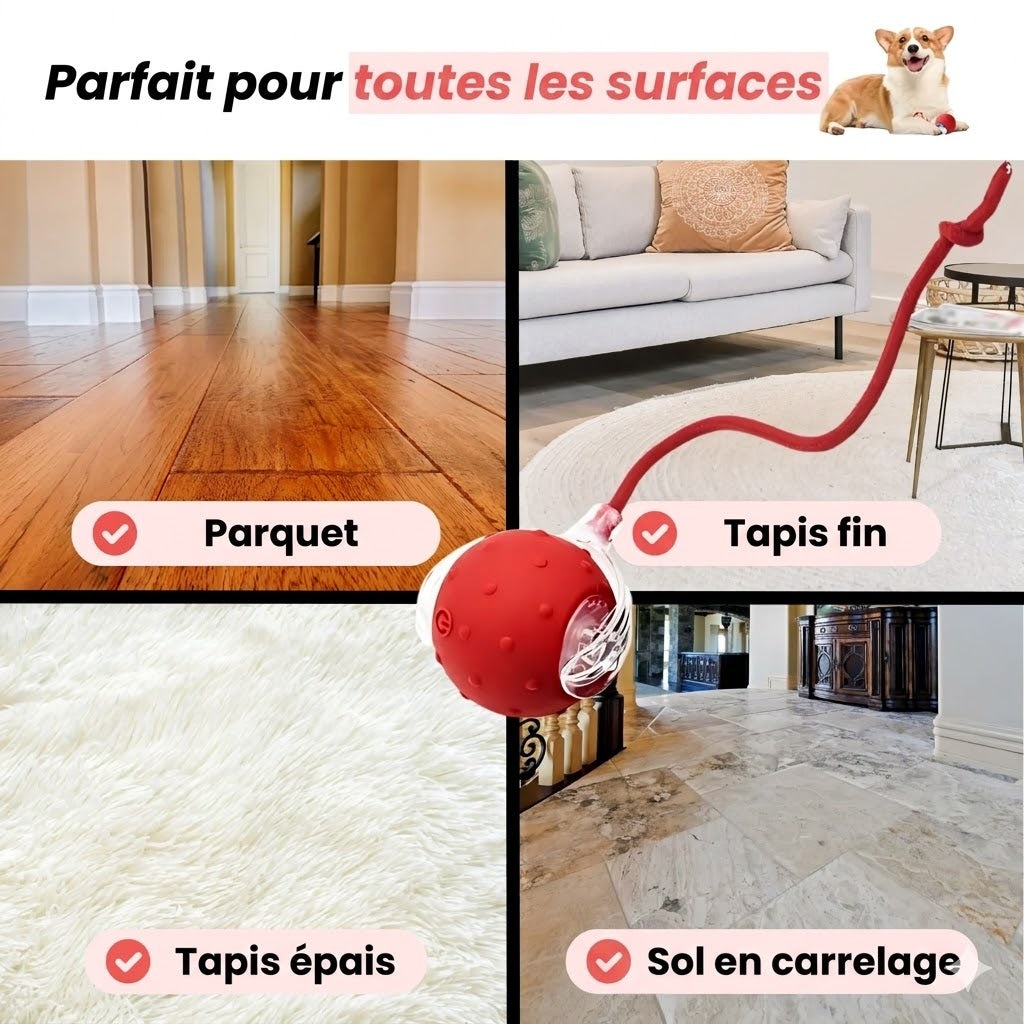 TinyFetch™ – Balle interactive
