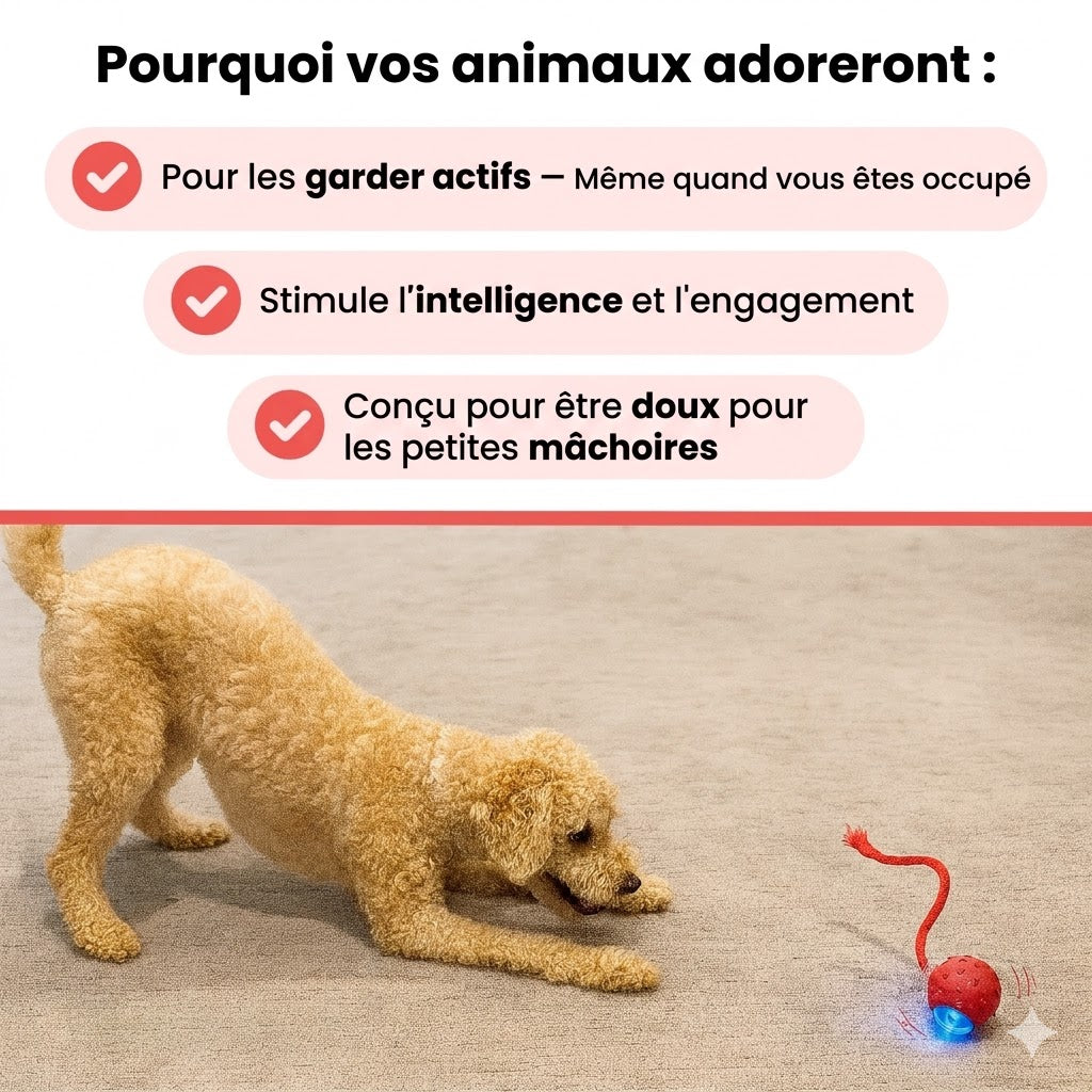 TinyFetch™ – Balle interactive