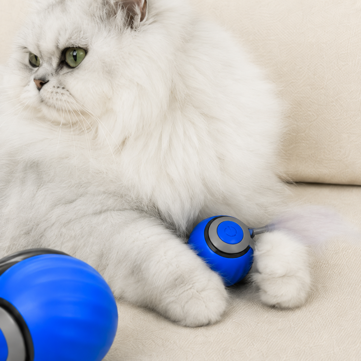 Balle interactive pour chat