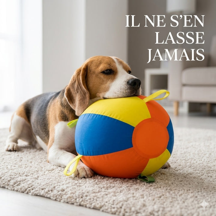 Balle géante apaisante