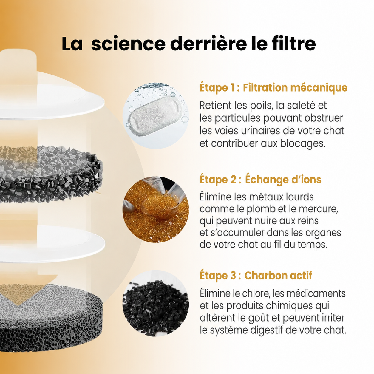 La toute première fontaine colorée 100 % en acier inoxydable