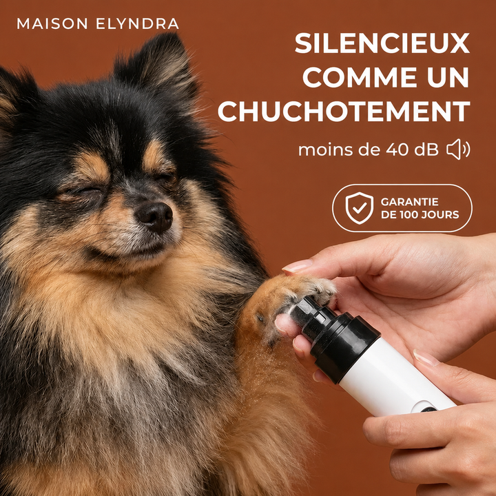 Lime Silencieuse Pro