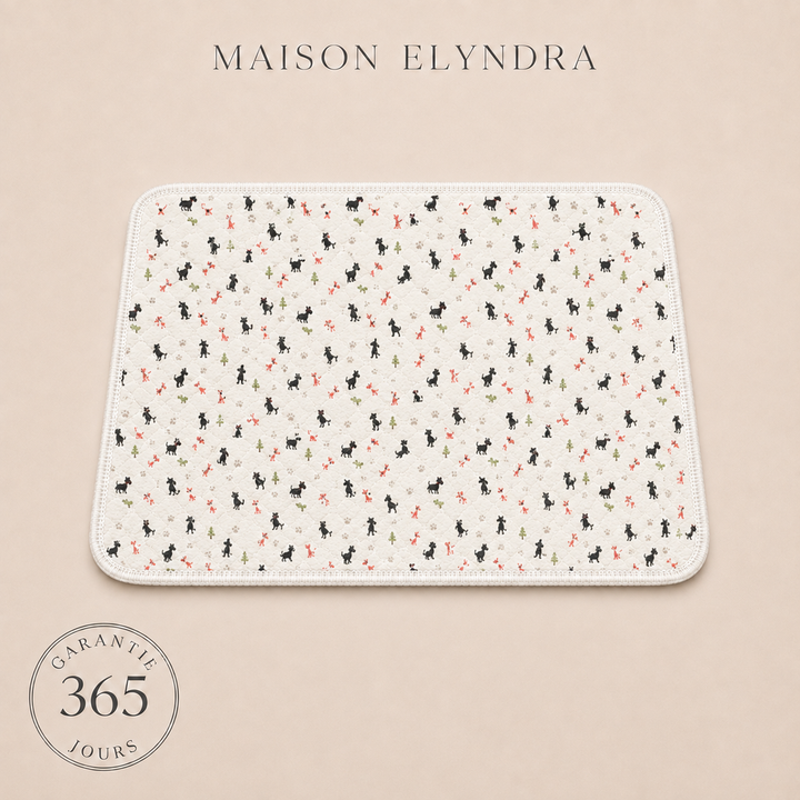 MaisonElyndra™ Le tapis absorbant lavable qui protège votre maison
