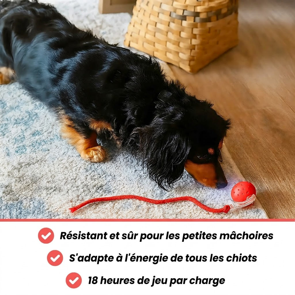 TinyFetch™ – Balle interactive