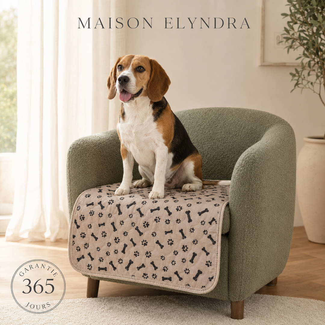MaisonElyndra™ Le tapis absorbant lavable qui protège votre maison