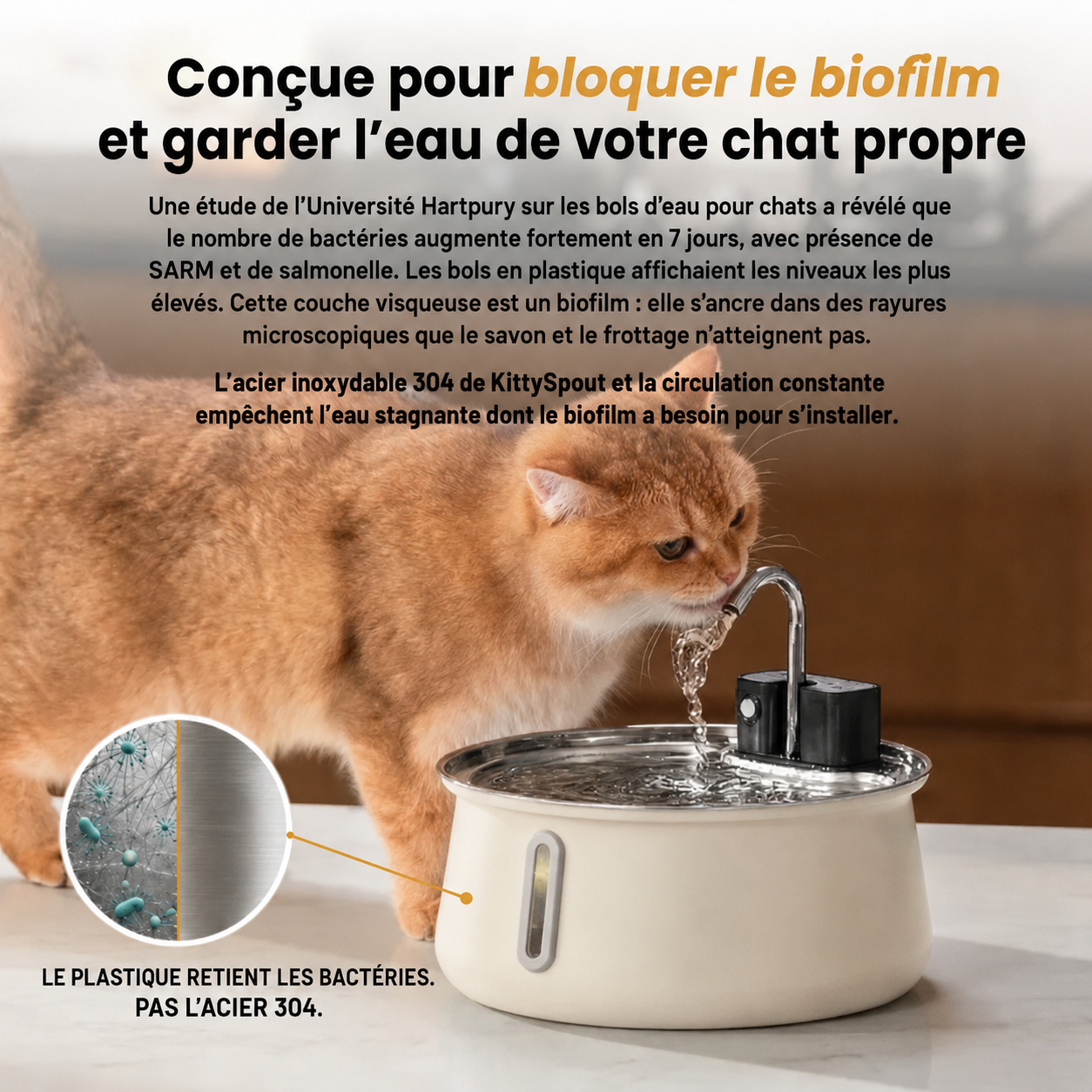 La toute première fontaine colorée 100 % en acier inoxydable