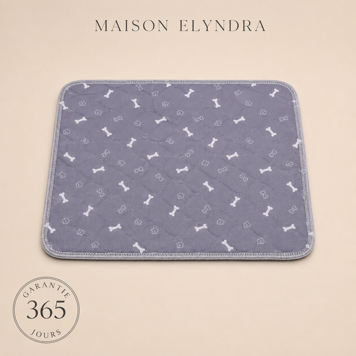 MaisonElyndra™ Le tapis absorbant lavable qui protège votre maison