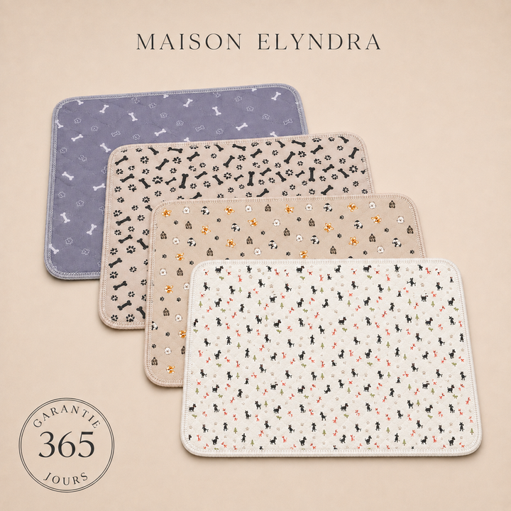 MaisonElyndra™ Le tapis absorbant lavable qui protège votre maison