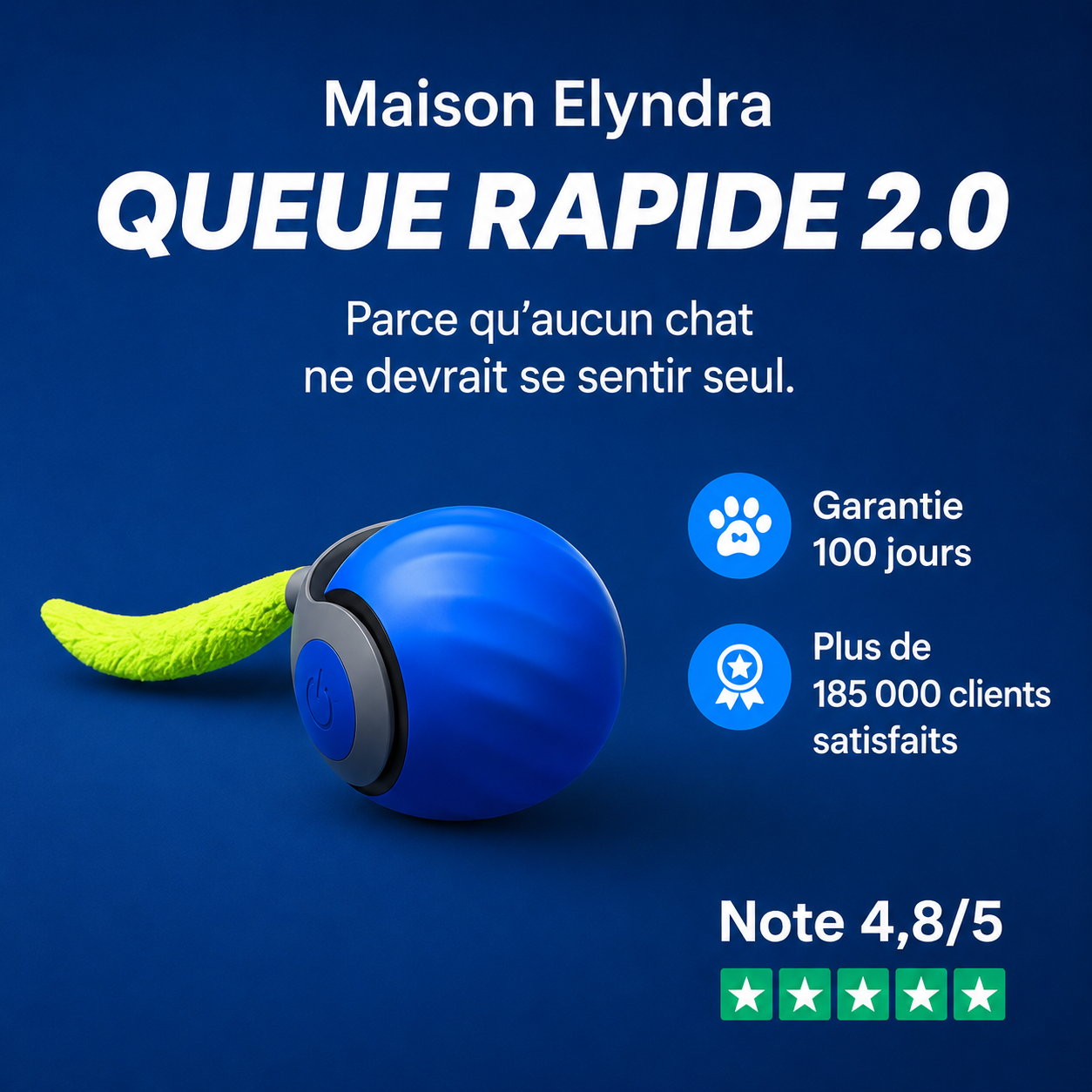 Balle interactive pour chat