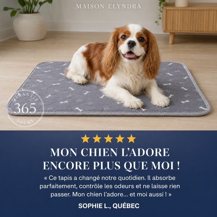 MaisonElyndra™ Le tapis absorbant lavable qui protège votre maison