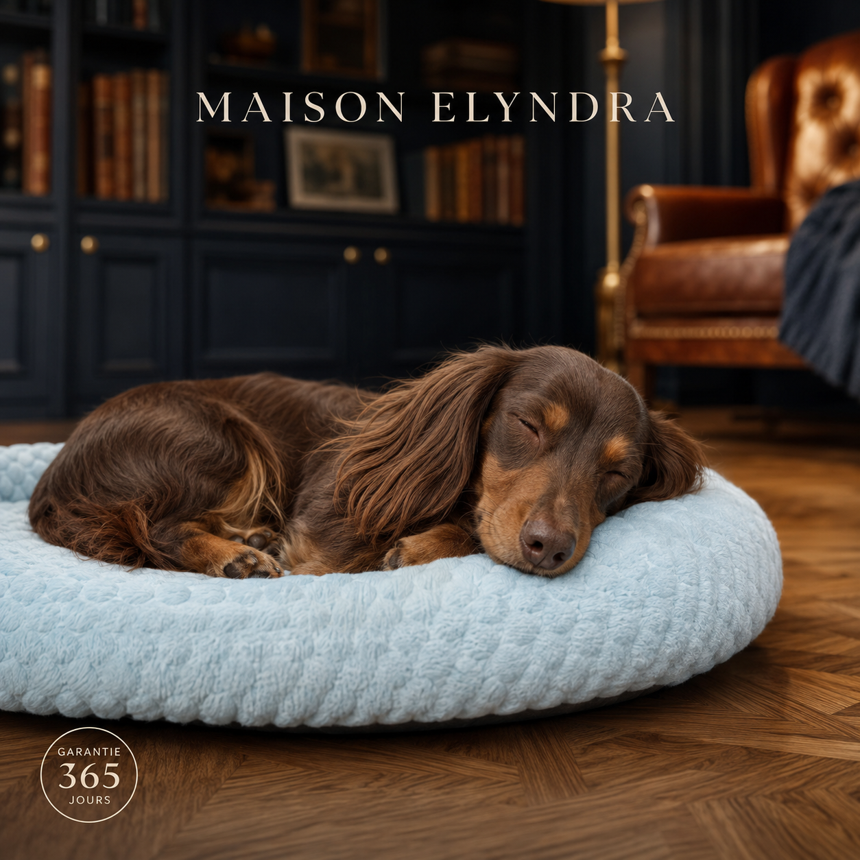 Lit de refroidissement Elyndra