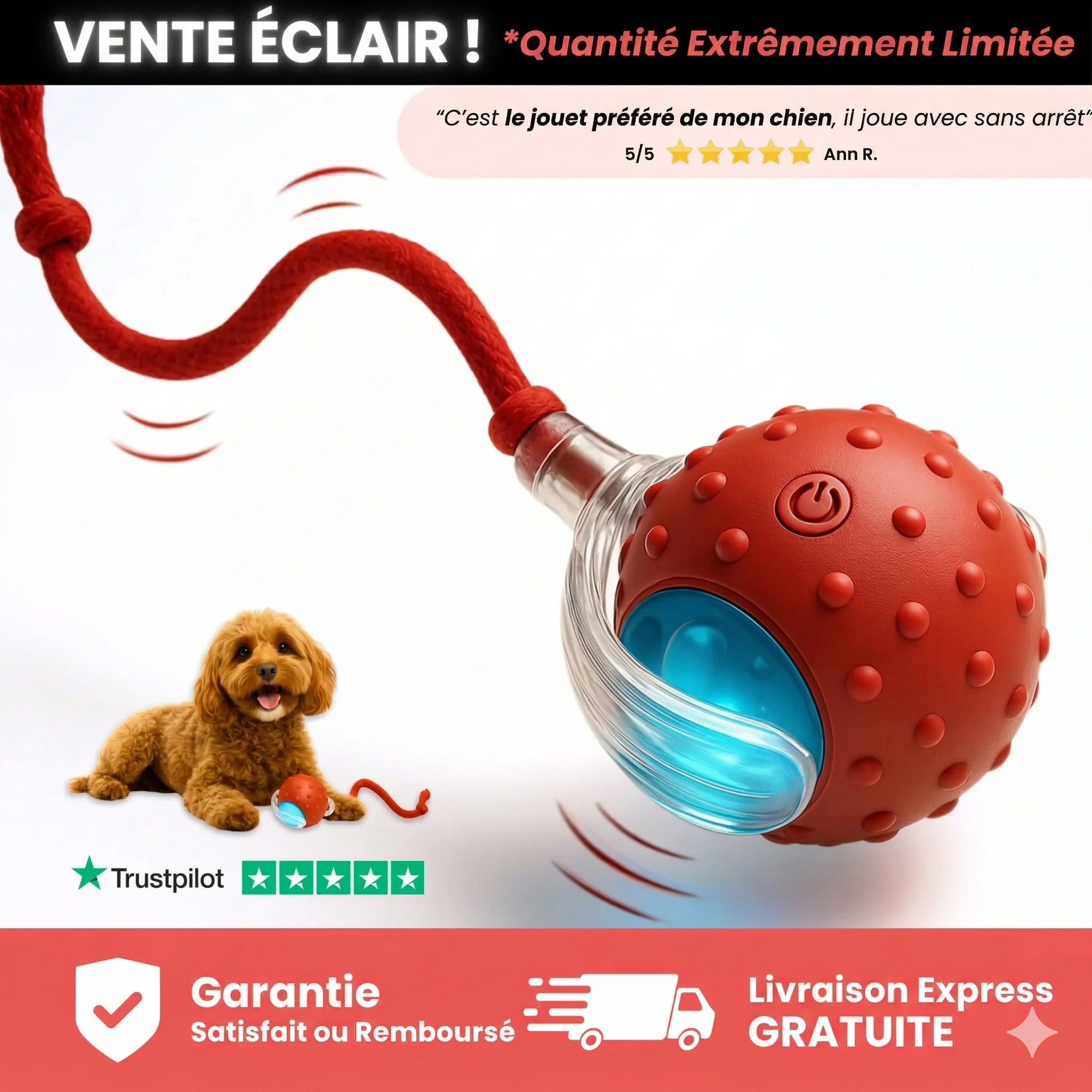 TinyFetch – Balle interactive