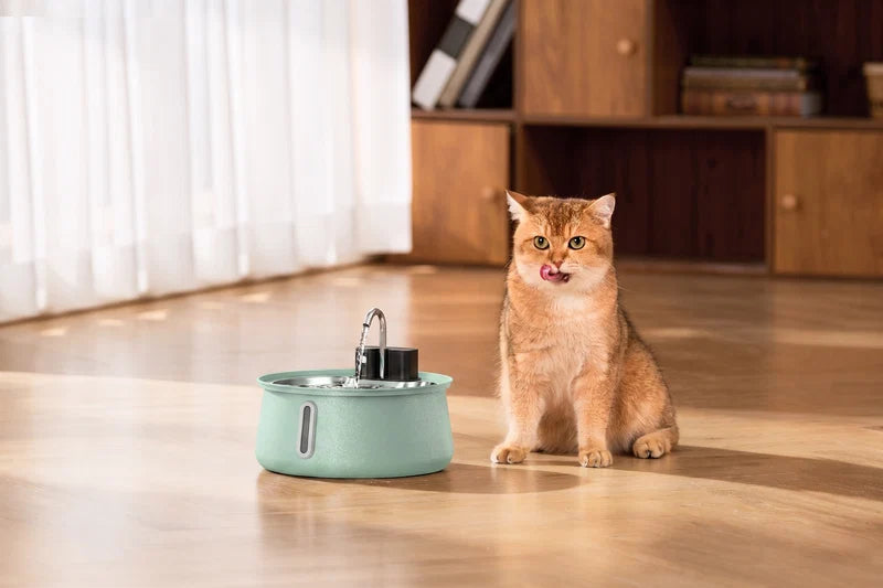 La toute première fontaine colorée 100 % en acier inoxydable