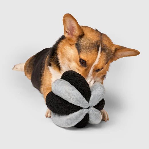Jouet Snuffle Ball