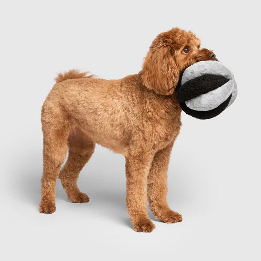 Jouet Snuffle Ball