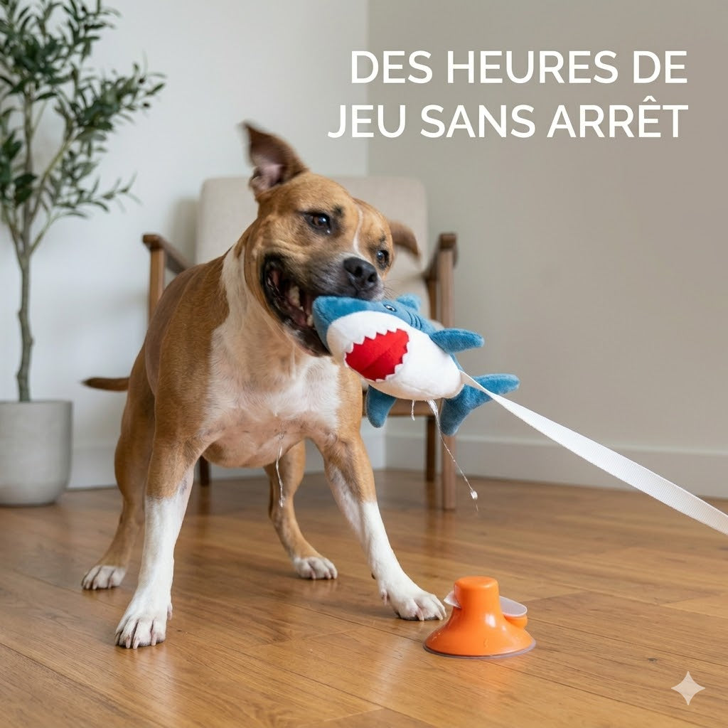 Copain de requin