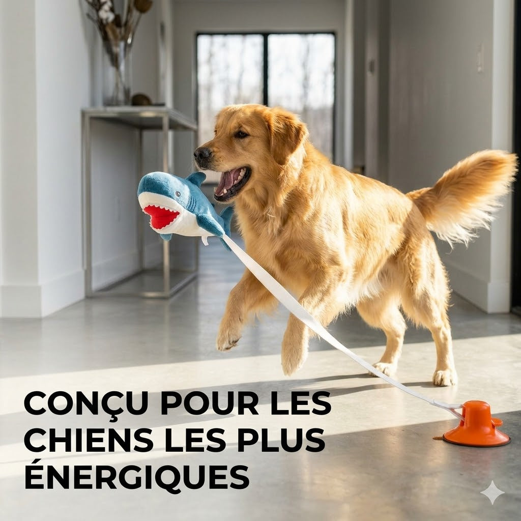 Copain de requin