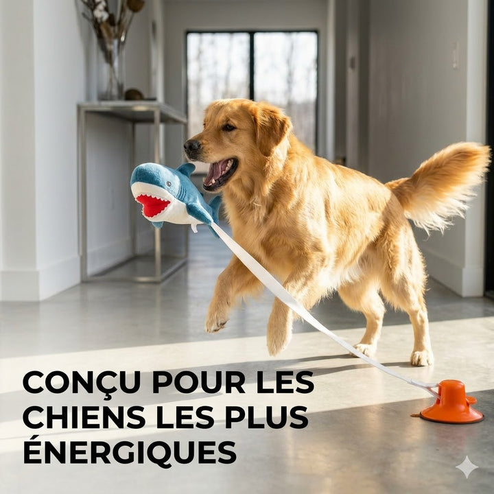 Copain de requin
