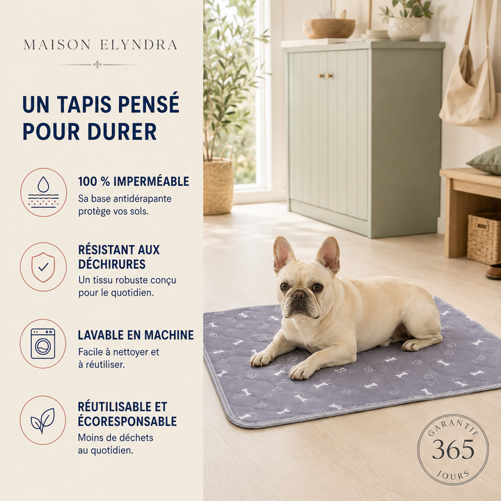 MaisonElyndra™ Le tapis absorbant lavable qui protège votre maison