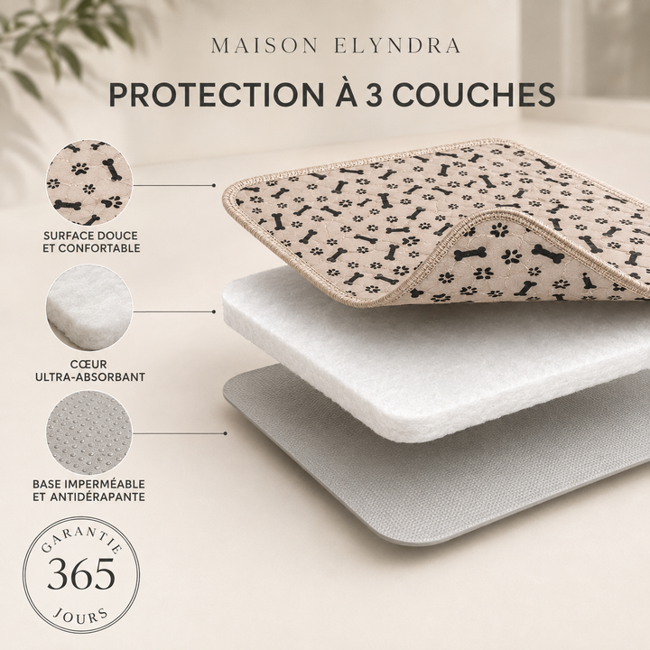 MaisonElyndra™ Le tapis absorbant lavable qui protège votre maison