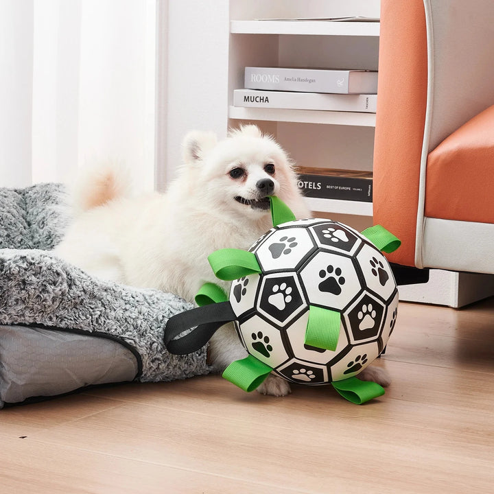 La balle pour chien Chewie Viral